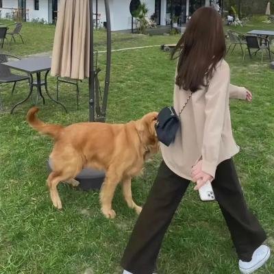 降伏魔女的手段 海报